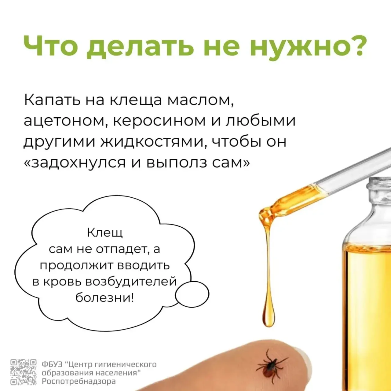 🤔Что делать, если присосался клещ?  Весна и лето - не только тепло, но и риск встречи с клещами. Эти