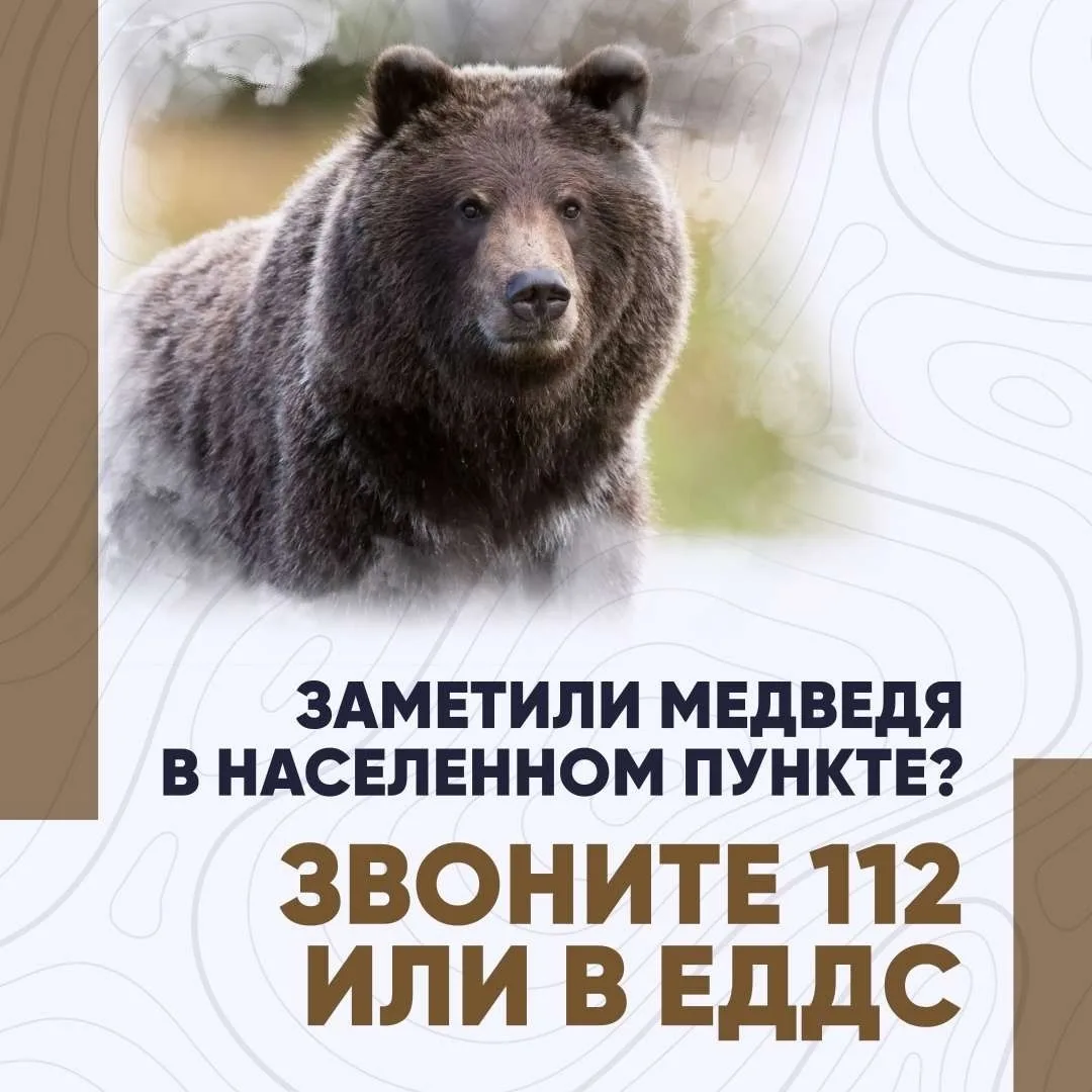 Уважаемые жители Мотыгинского округа!