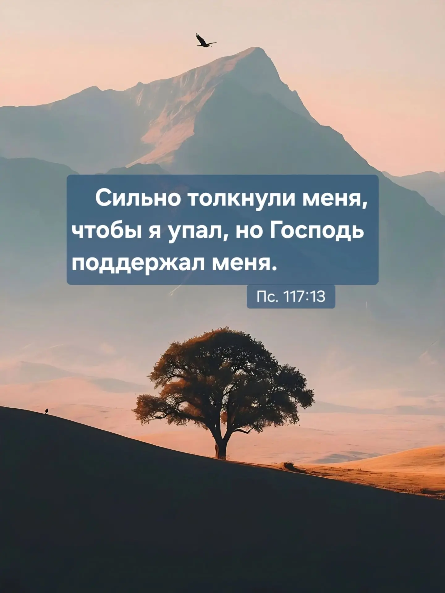 Всем доброго дня! Пусть вас никто не толкает! С Богом!