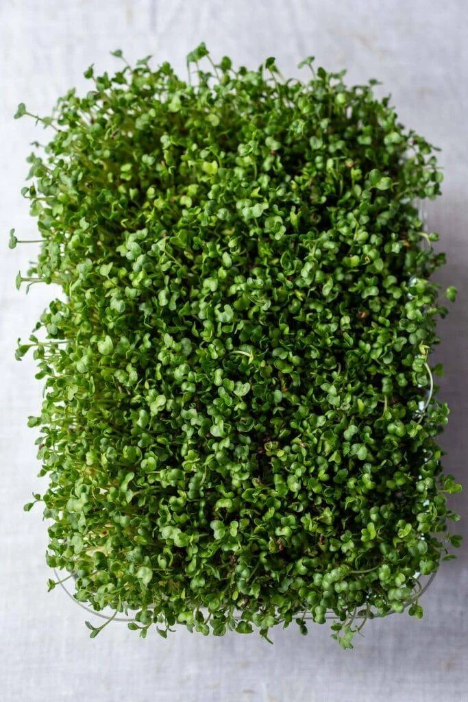 Женское здоровье начинается с одного глотка. 🌱