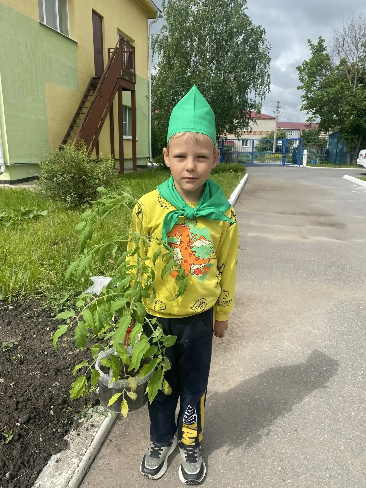 Сегодня юные экологи старшей группы высаживали рассаду овощей, которые были выращены с ...