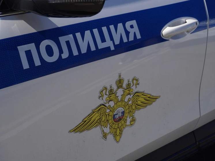 Лесозаготовитель из Хабаровска с подельниками отправится в колонию за афёру на 183 млн