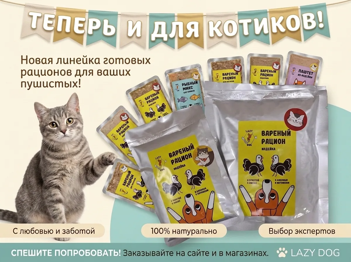 Друзья, мы это сделали! 😇