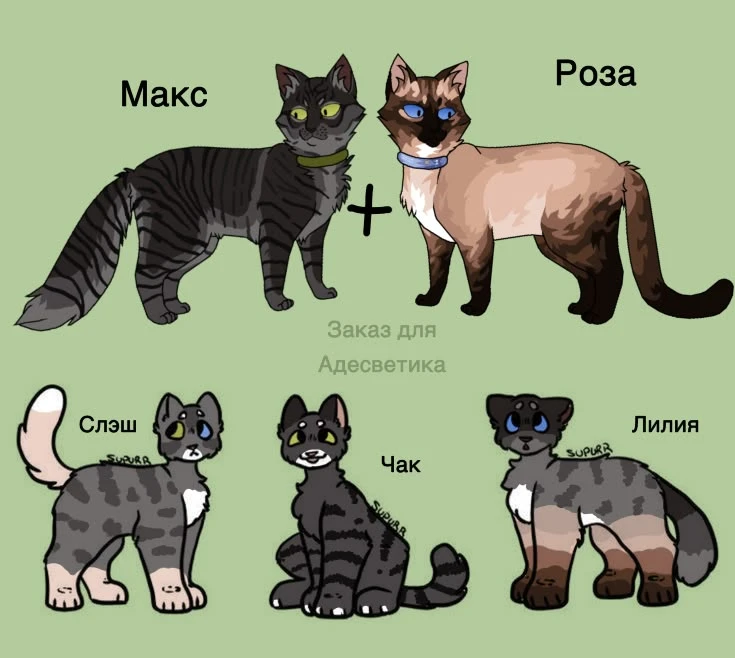 Ну, скрещёнка и котик от Тенеликой ❤️