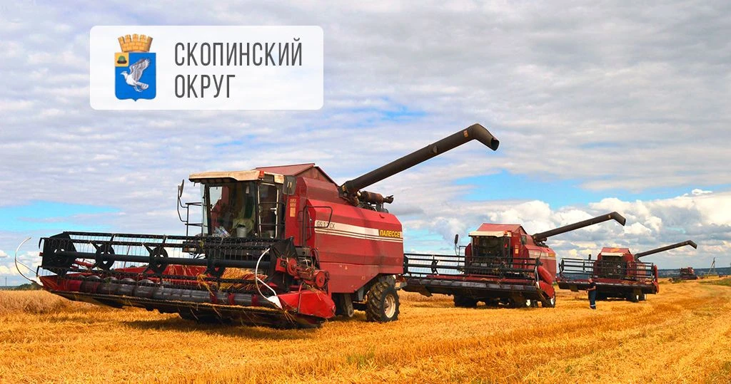 🌾 Урожай скопинских аграриев превысил 100 тыс. тонн зерна