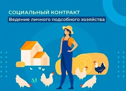 Социальный контракт – это работающий инструмент преодоления кризисной ситуации. При его помощи челов