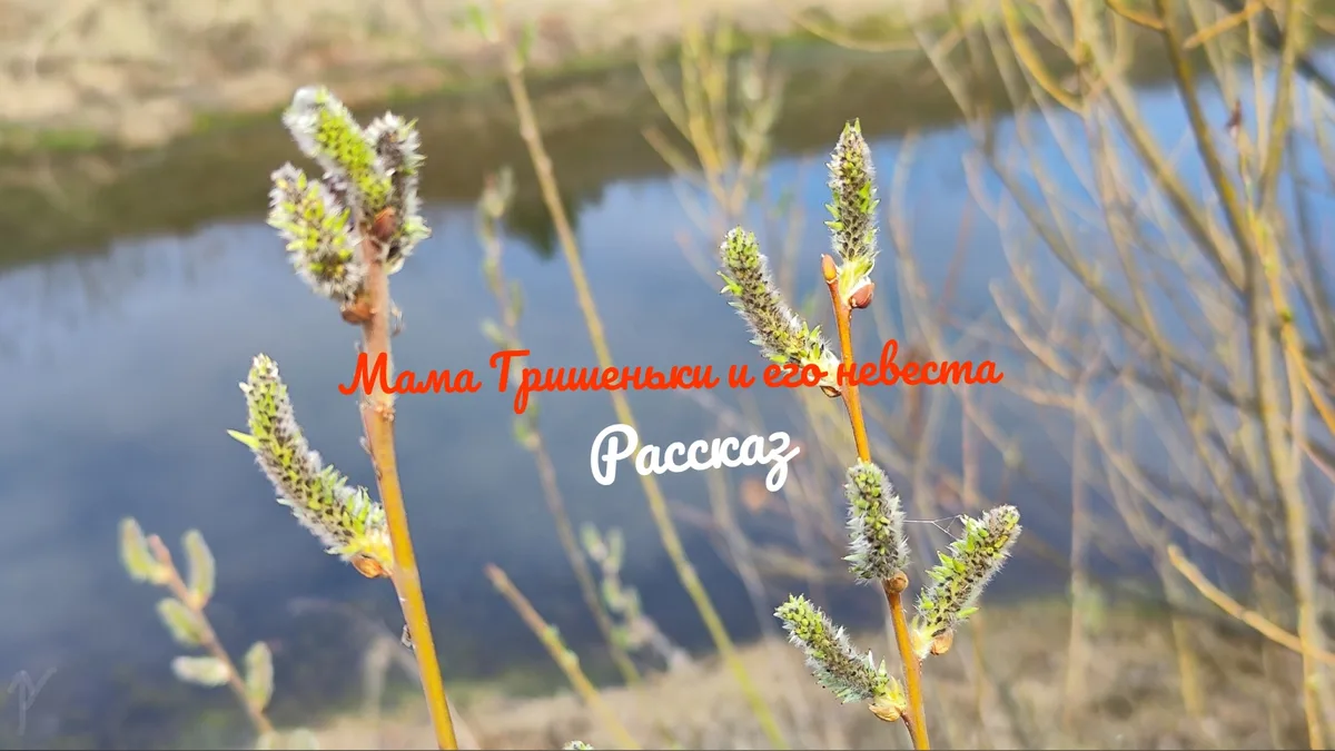 Мама Гришеньки и его невеста

Рассказ

В квартиру пенсионерки Зайцевой Веры Ильиничны позвонили три 
