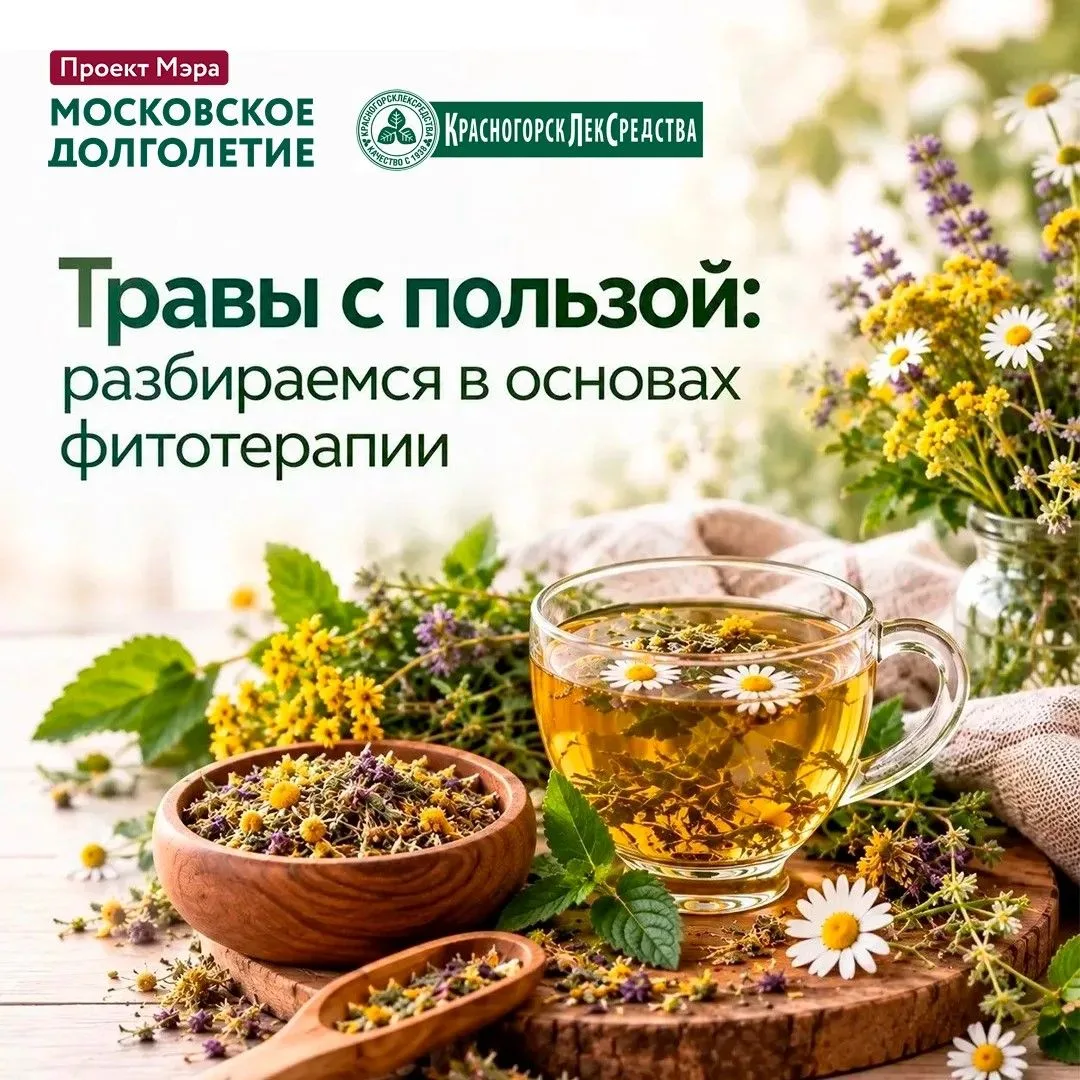Перед применением трав и сборов обязательно проконсультируйтесь со специалистом, особен...