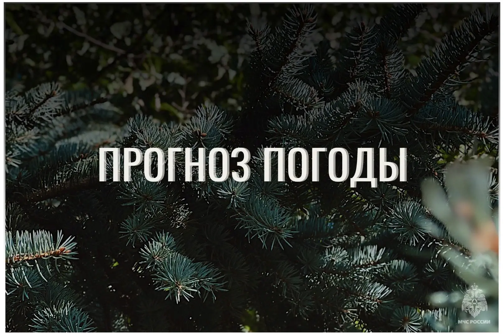 ⛅По данным ЦГМС, 2 октября в регионе прогнозируется переменная облачность.