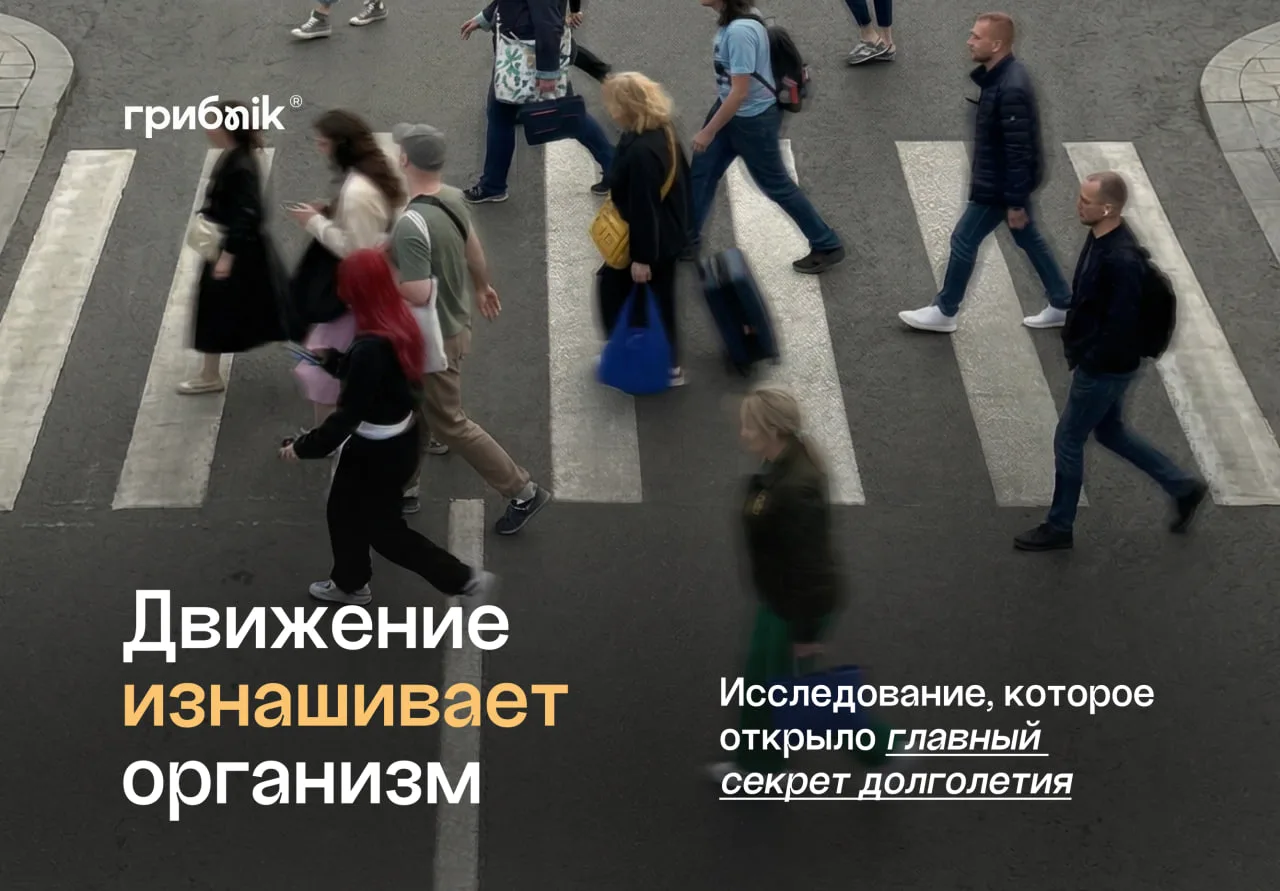 Это исследование выявило тот самый секрет долголетия