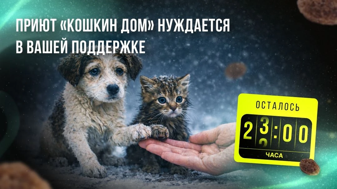 Через 16 часов заканчивается «корзина помощи» для приюта "Кошкин дом". Каждый день мы обеспечиваем ж