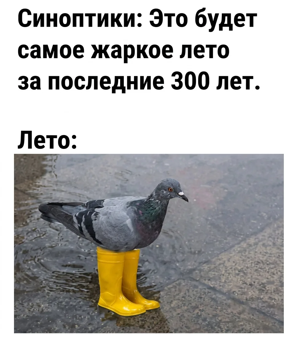 Аномальное лето: температурный рекорд в России и исторические ливни на Урале