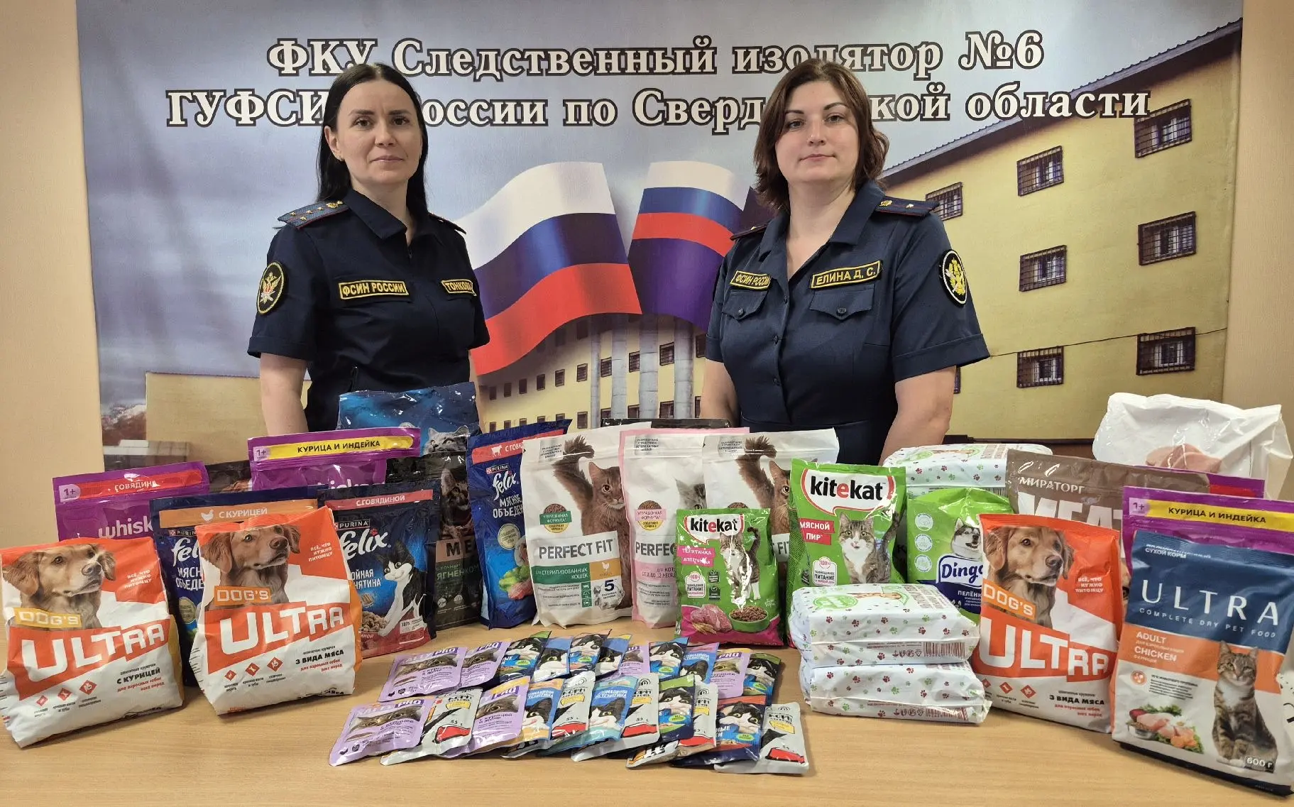 Помощь тем, кто не может попросить: сотрудники СИЗО-6 поддержали приют для животных в К...