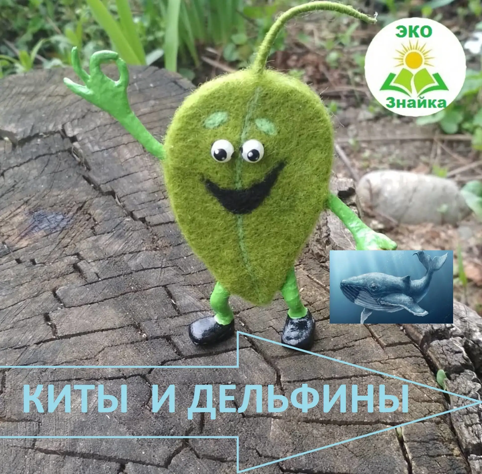 Ежегодно 23 июля во всём мире отмечается экологический праздник — Всемирный день китов и дельфинов.
