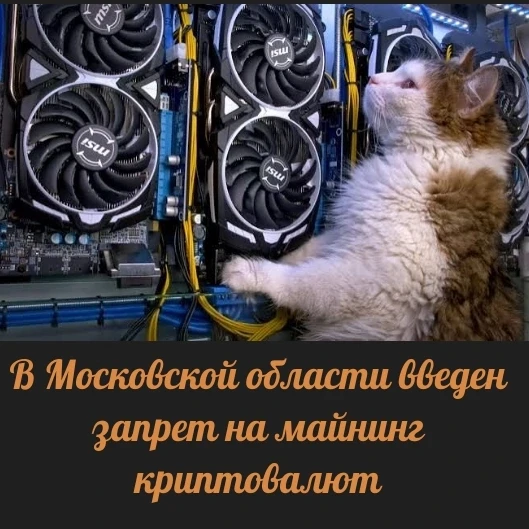 💾 С 15 августа вводится запрет на майнинг в Москве и Подмосковье.