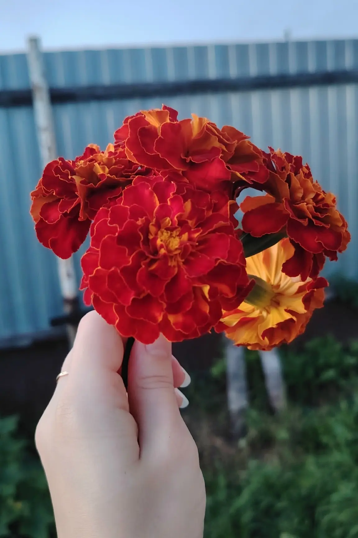 Доброе утро☕🐝