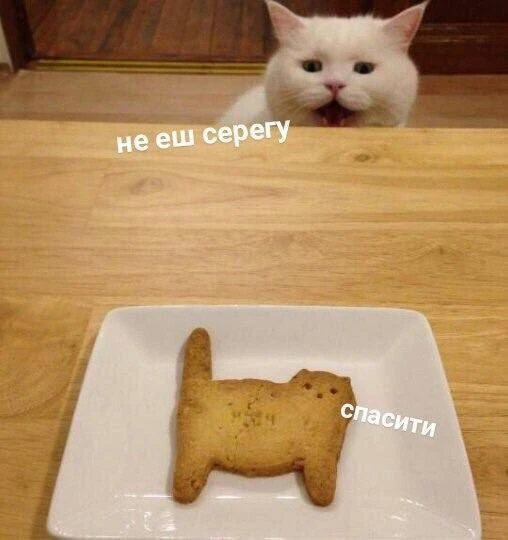 Шерсть — не алиби🐾
Подписывайся. Дальше будет хуже...