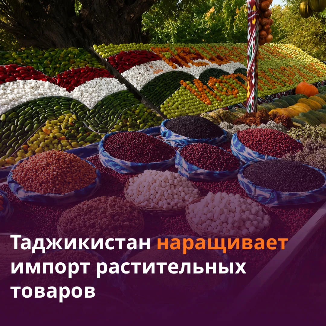 🌾 Свыше $240 млн потратил Таджикистан на импорт растительной продукции за четыре месяца.

Это почти