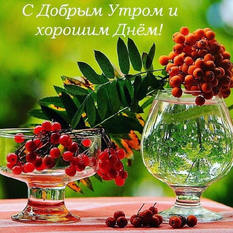 Открытки: подписаться ❤️