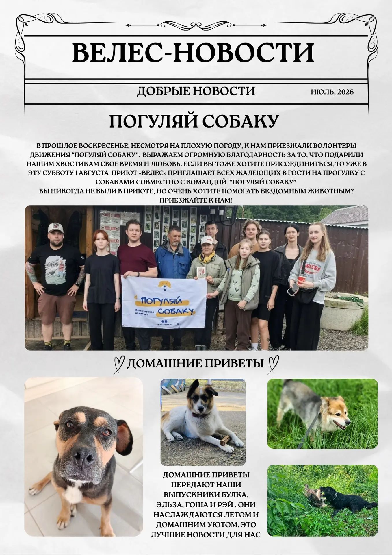 В эфире любимая всеми рубрика — новости «Велеса» ♥️🐶

#Велес_Пушкино
#Велес_новости