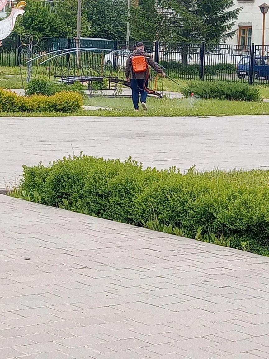 29.05.2026 на территориях скверов "Центральный" (ул. Мичурина),  памяти ликвидаторов ав...
