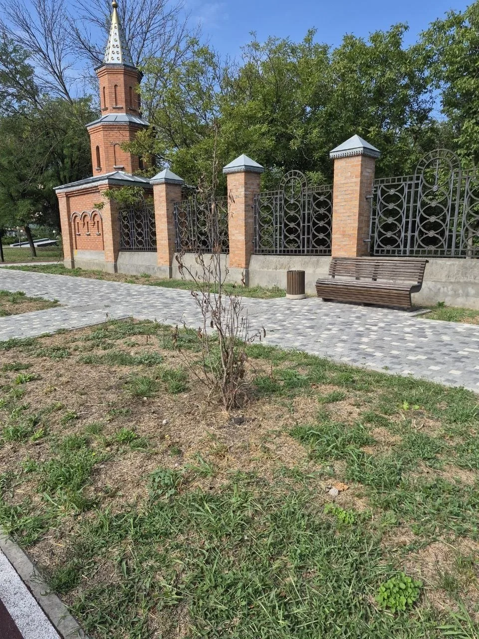 Скверик у церкви снова засыхает... Опять засохли все новые елки, зачем их вообще сажают...