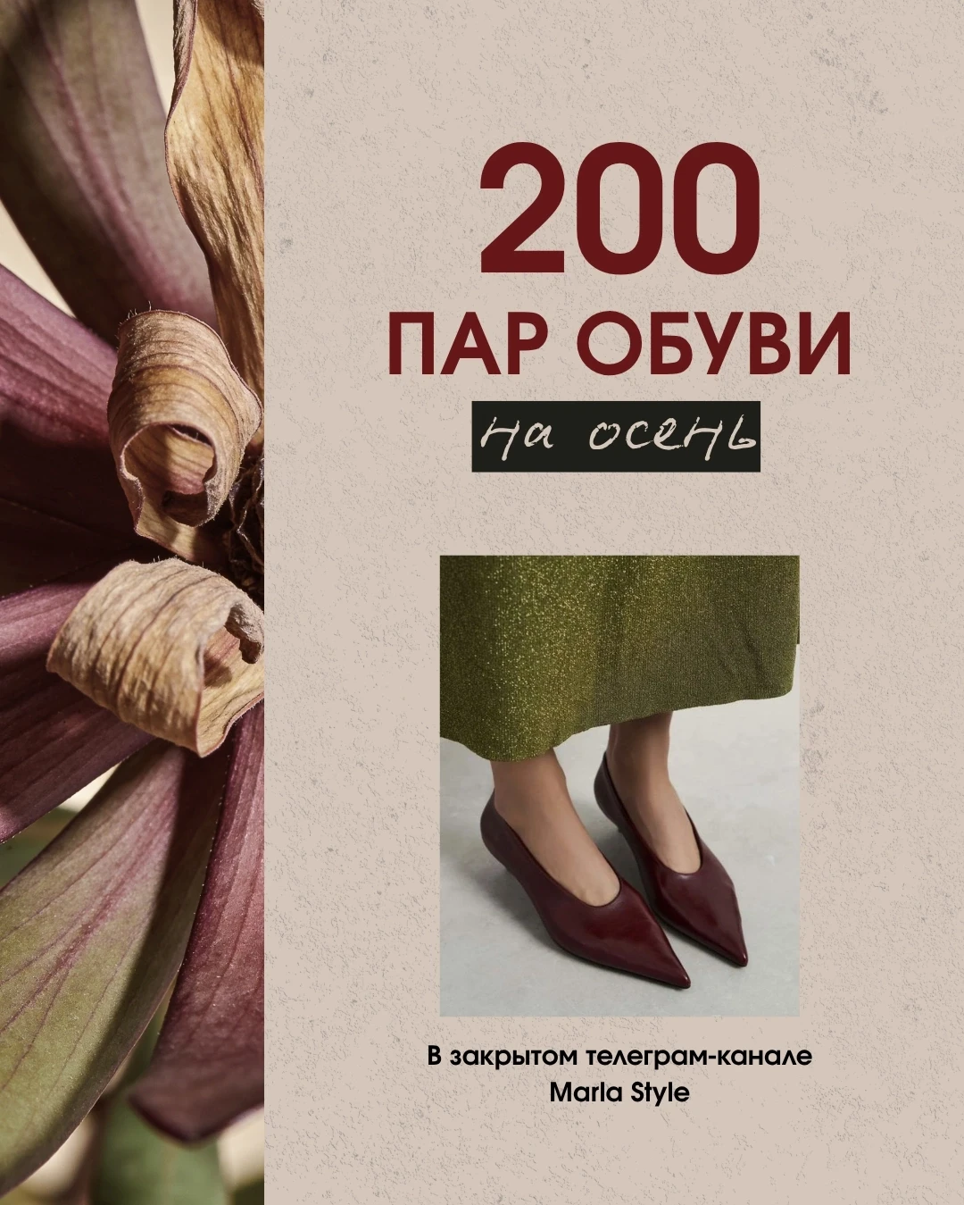Девочки, гайд вышел: 200 пар 👠обуви на ближайшие месяцы!