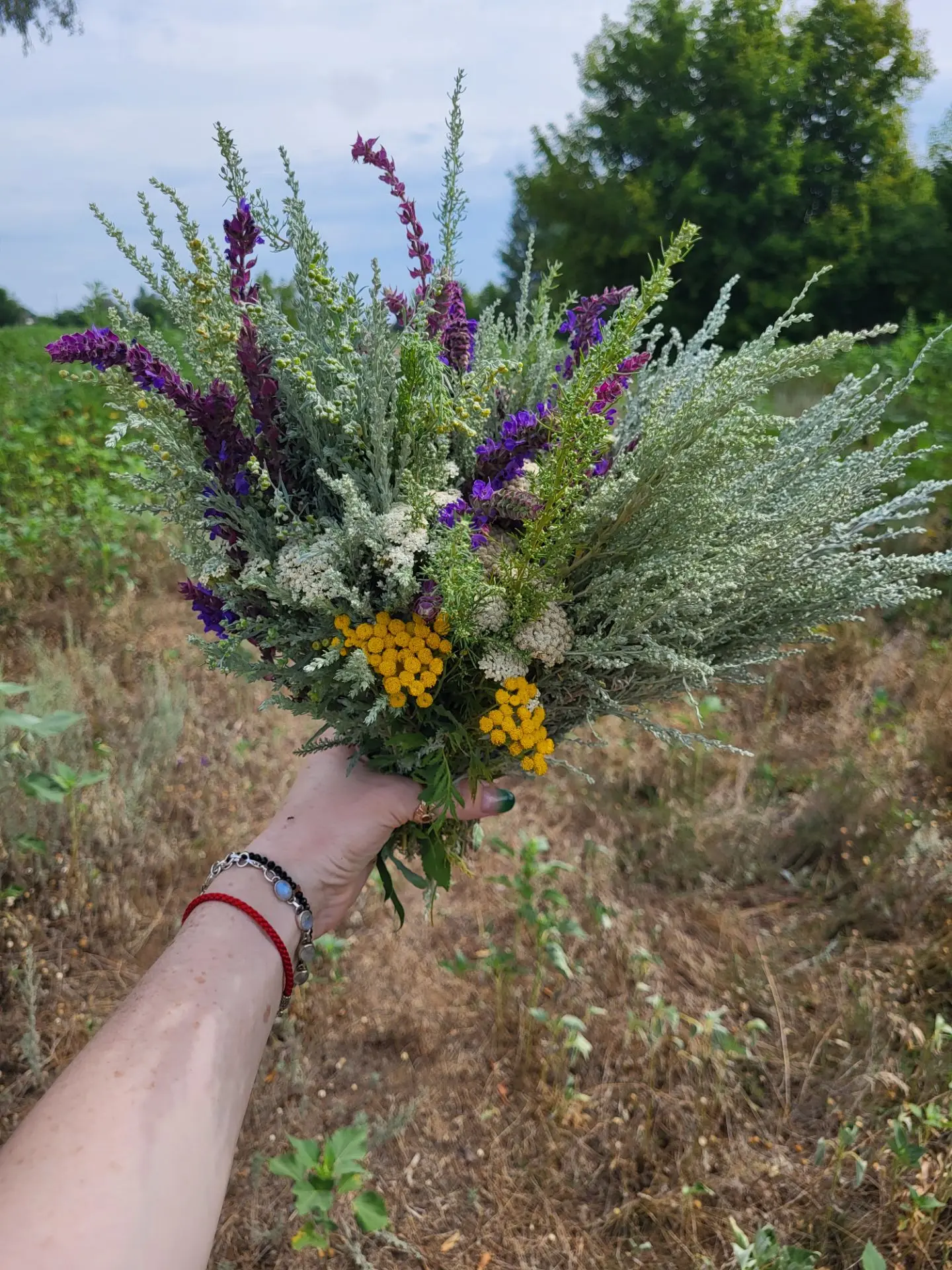 Мои прекрасные солнышки 🌞 сегодня собираю волшебные травы для своих волшебных свечей 🕯️ и ваших бу