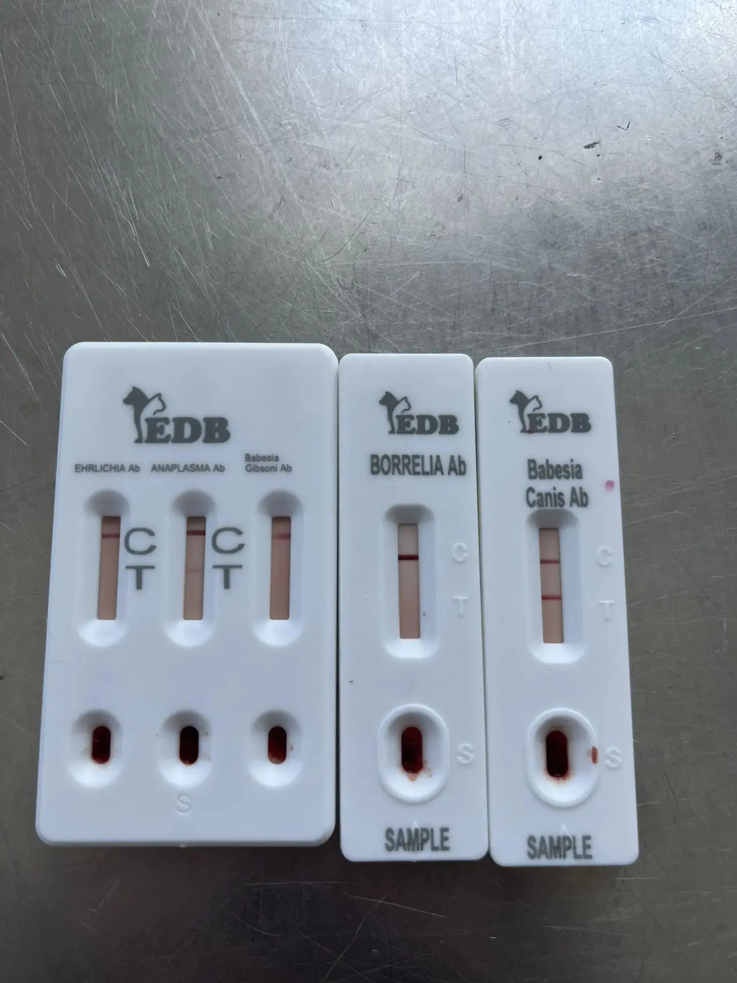 🏥👨‍⚕️💉В нашей клинике ваши питомцы 🐾смогут сдать экспресс тесты на инфекционные и в...