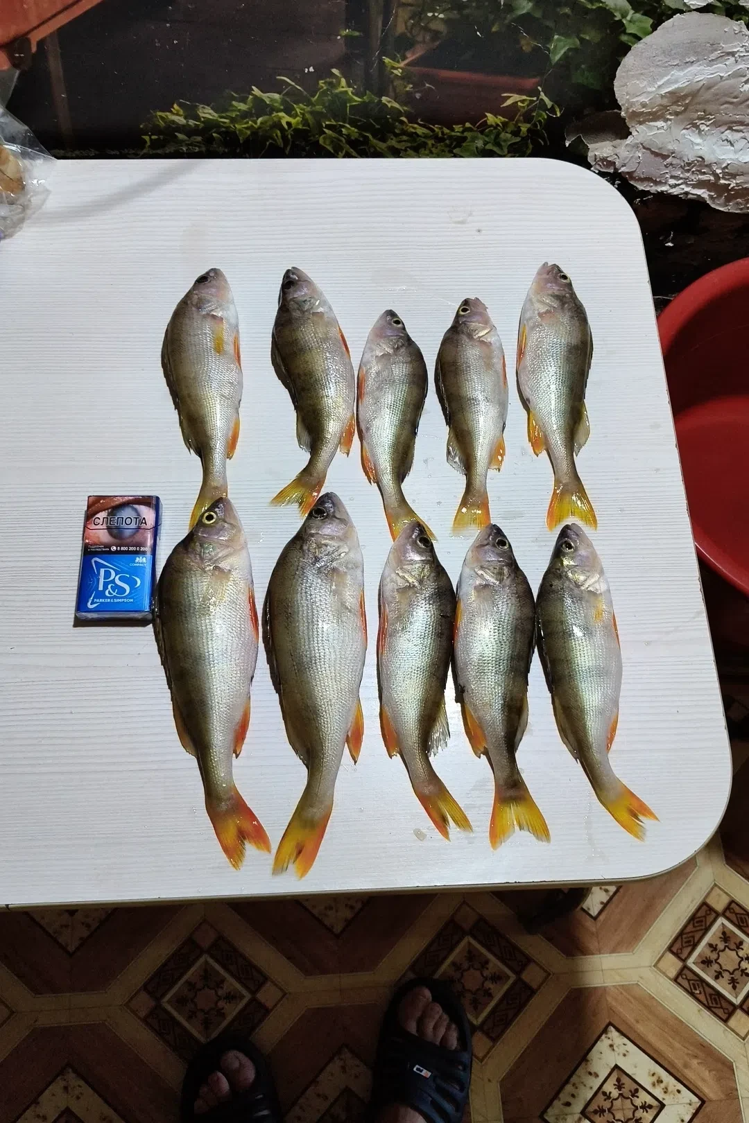 Рыбалка удалась, Правдинское водохранилище
