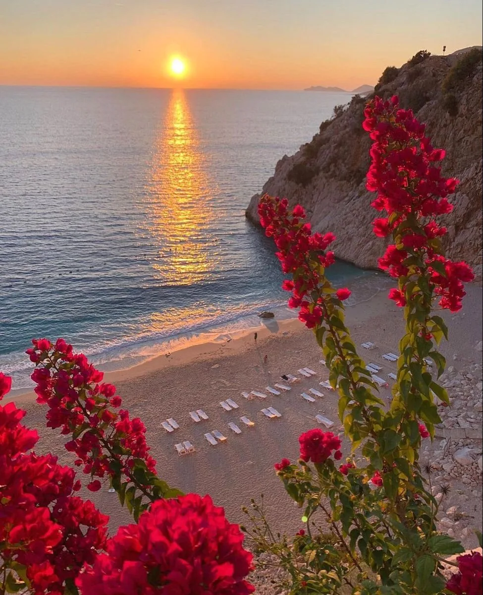 Горящие туры в Турцию!☀️🏖️

🌴Best Alanya Hotel 3*
Всё включено / Вылет 19.06 / 7 ночей
Цена: 104 5