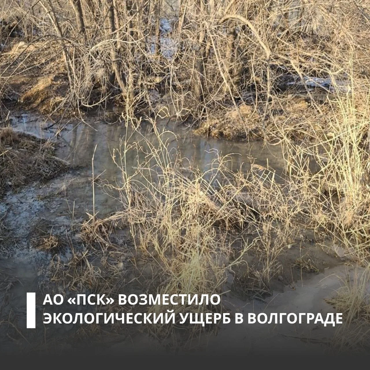 По требованию Росприроднадзора АО «Промстройконструкция» полностью возместило вред, причиненный почв