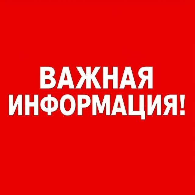 По поручению губернатора Вадима Михайловича Шумкова ветераны Великой Отечественной войн...