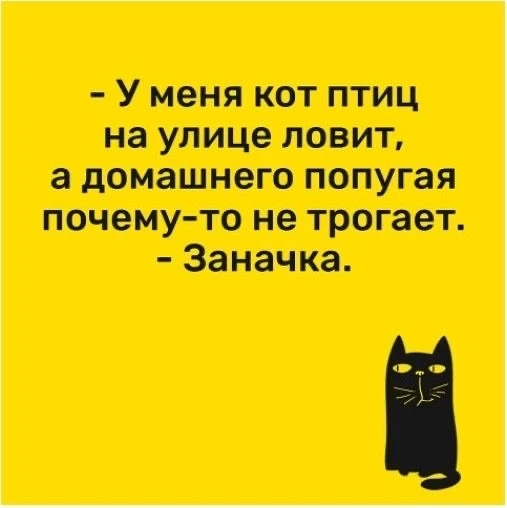 Улыбнись | Юмор