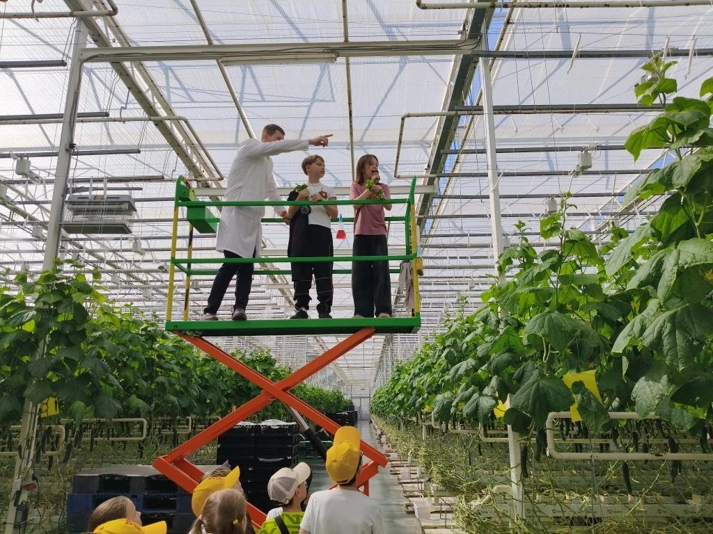 «НейроВитамины» на грядке: салат, огурцы и море открытий! 🥬🥒🍅Небольшой рост – а витаминов вагон!   🚀