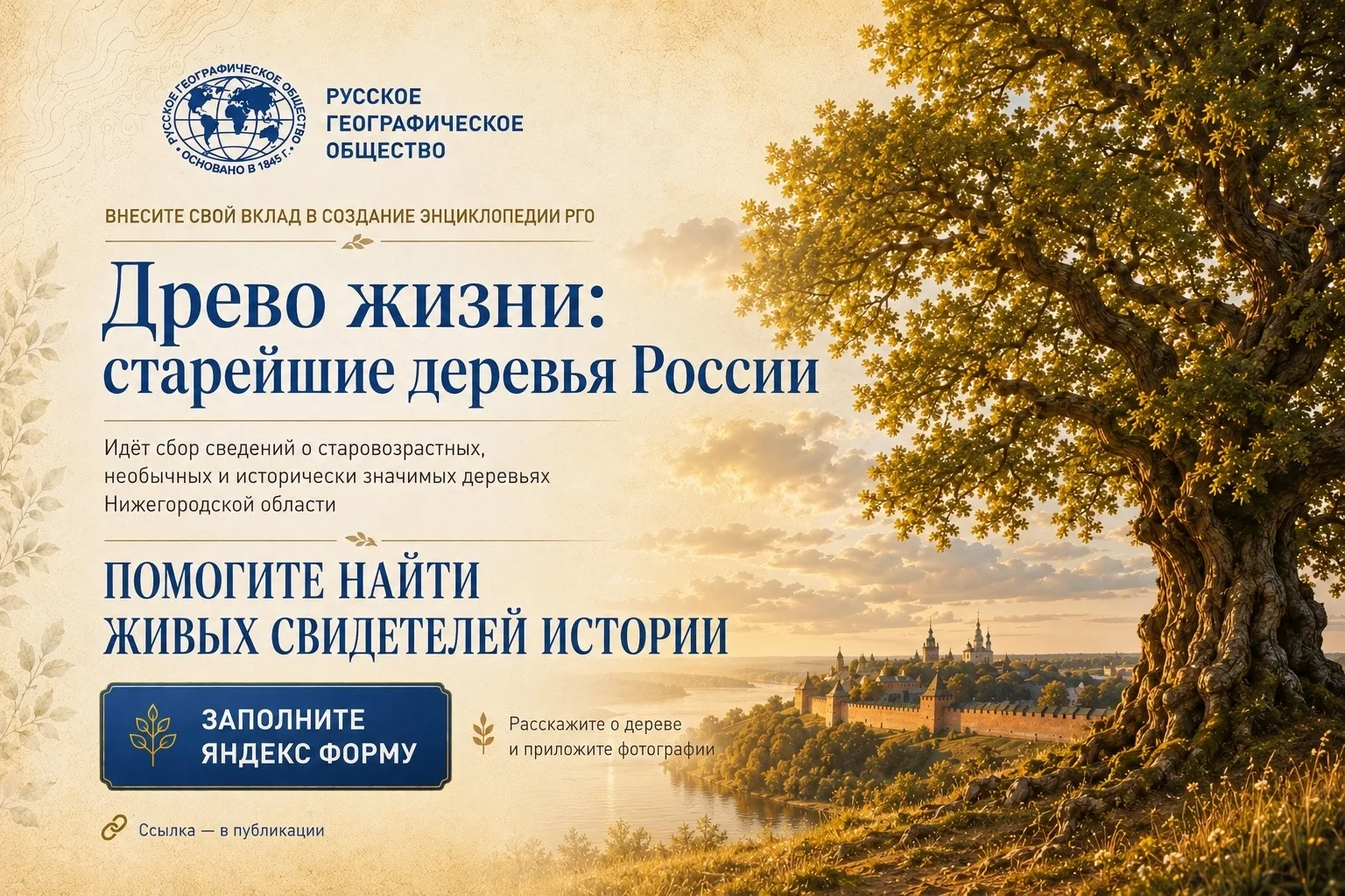 🌳 Старейшие деревья области ждут тех, кто расскажет о них