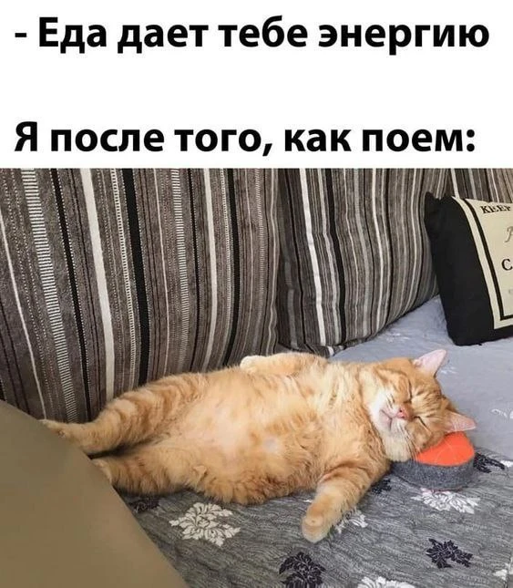 Сон=Энергия🤣