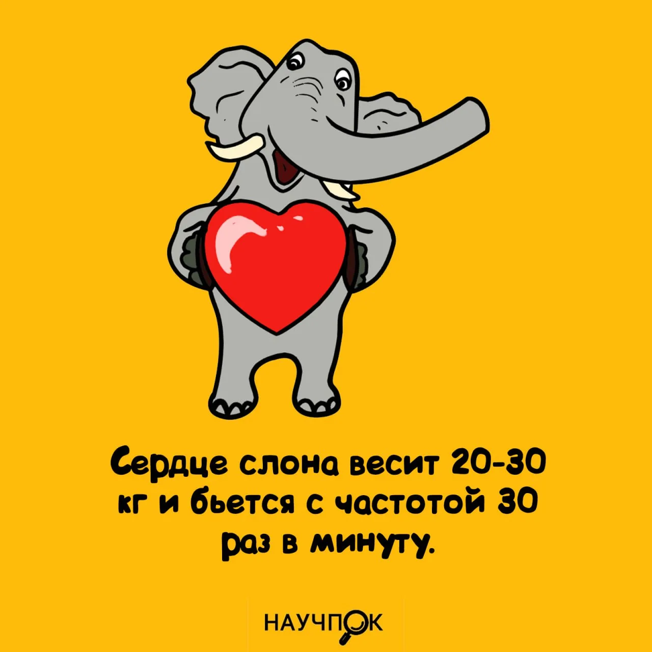Научпок | Подписаться