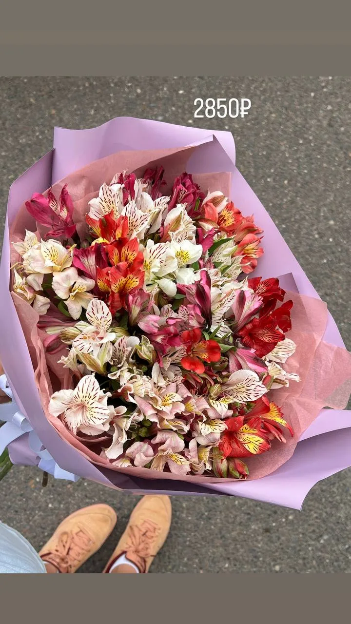 Стойкие альстромерии 😍

Стоимость на момент сборки: 2850₽

Ждем в гости или доставим 🚗 

Для заказ