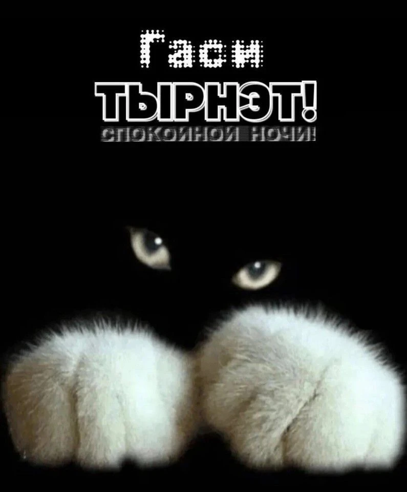 Спокойной ночи