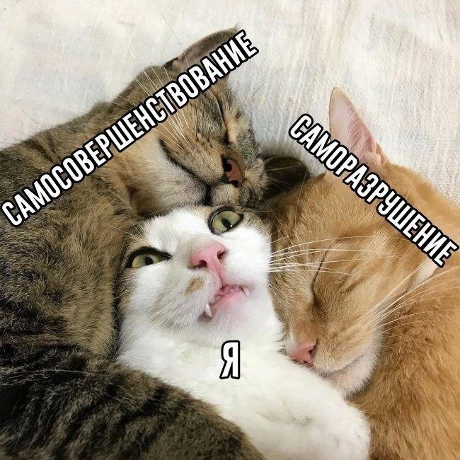 Привычные способы не работают, смотрите почему⤵️