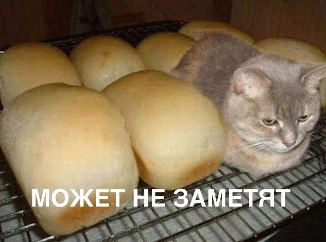 Картель поставщиков хлеба и хлебобулочных изделий выявили в Воронежской области. ФАС по...