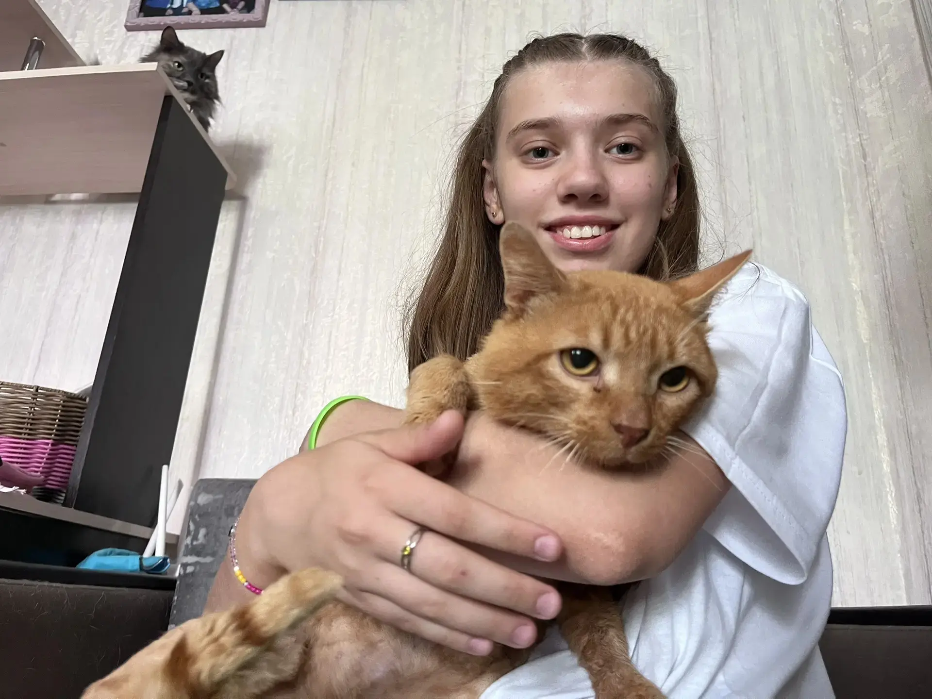 🐈🐕‍🦺🐶Они такие разные: шумные и скоромные, лохматые и гладкошерстные, кошки и собаки. Объединяет