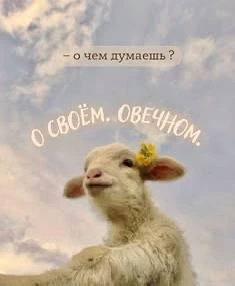 Список качественных каналов в МАКС | Смотреть ❤️