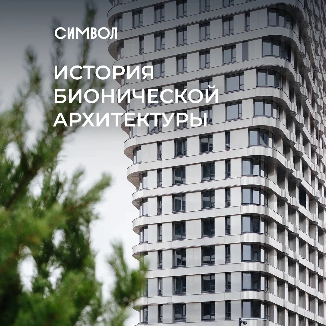 Архитектура всегда подсматривала у природы. Так родилась бионика — направление, где форма следует за