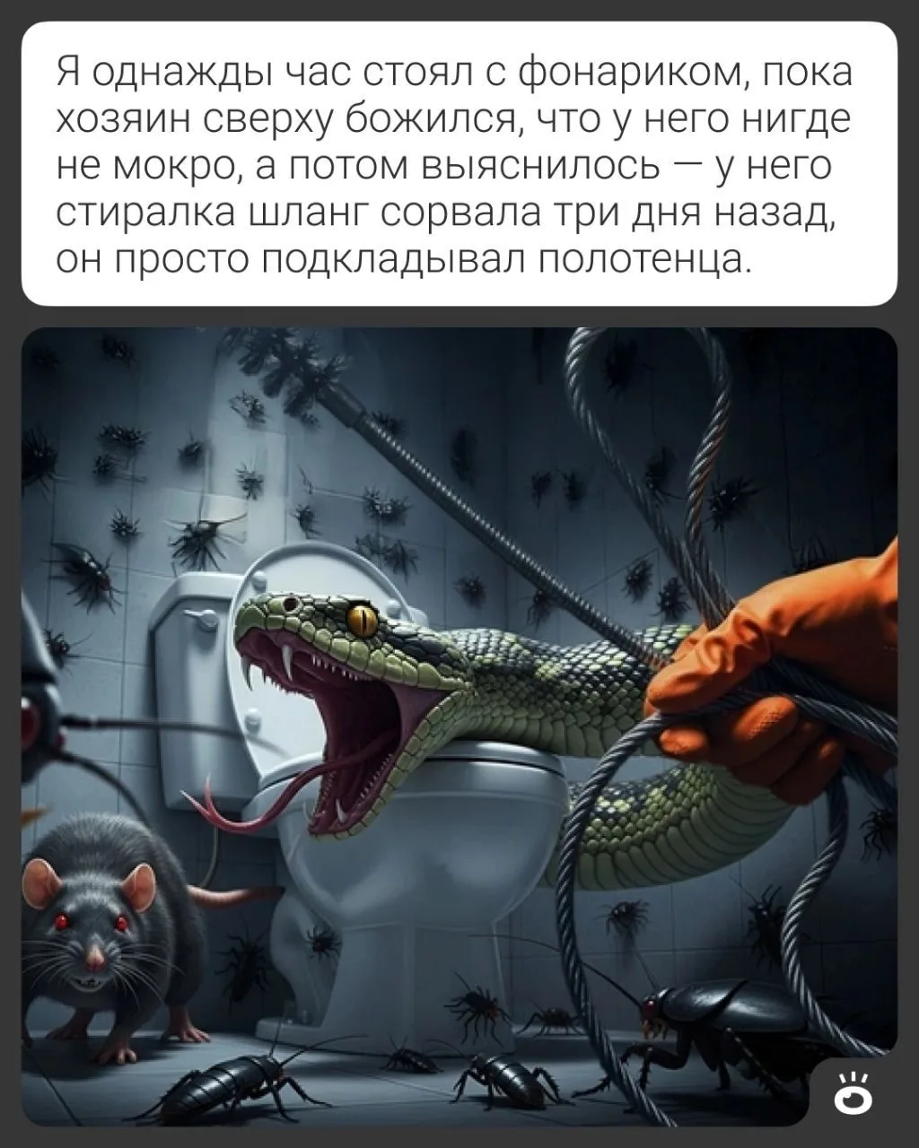 Изображение 8 к публикации «Поиск | NGS.RU | Работа Новосибирск»