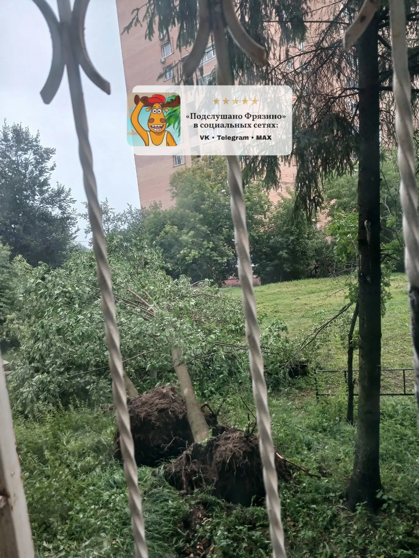 28.07.2026г после вечерней грозы, по адресу проезд Десантников д.5, сзади дома упали два дерева! Тро