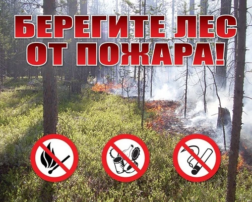 🔥 С начала пожароопасного сезона на территории лесного фонда Сахалинской области зарег...