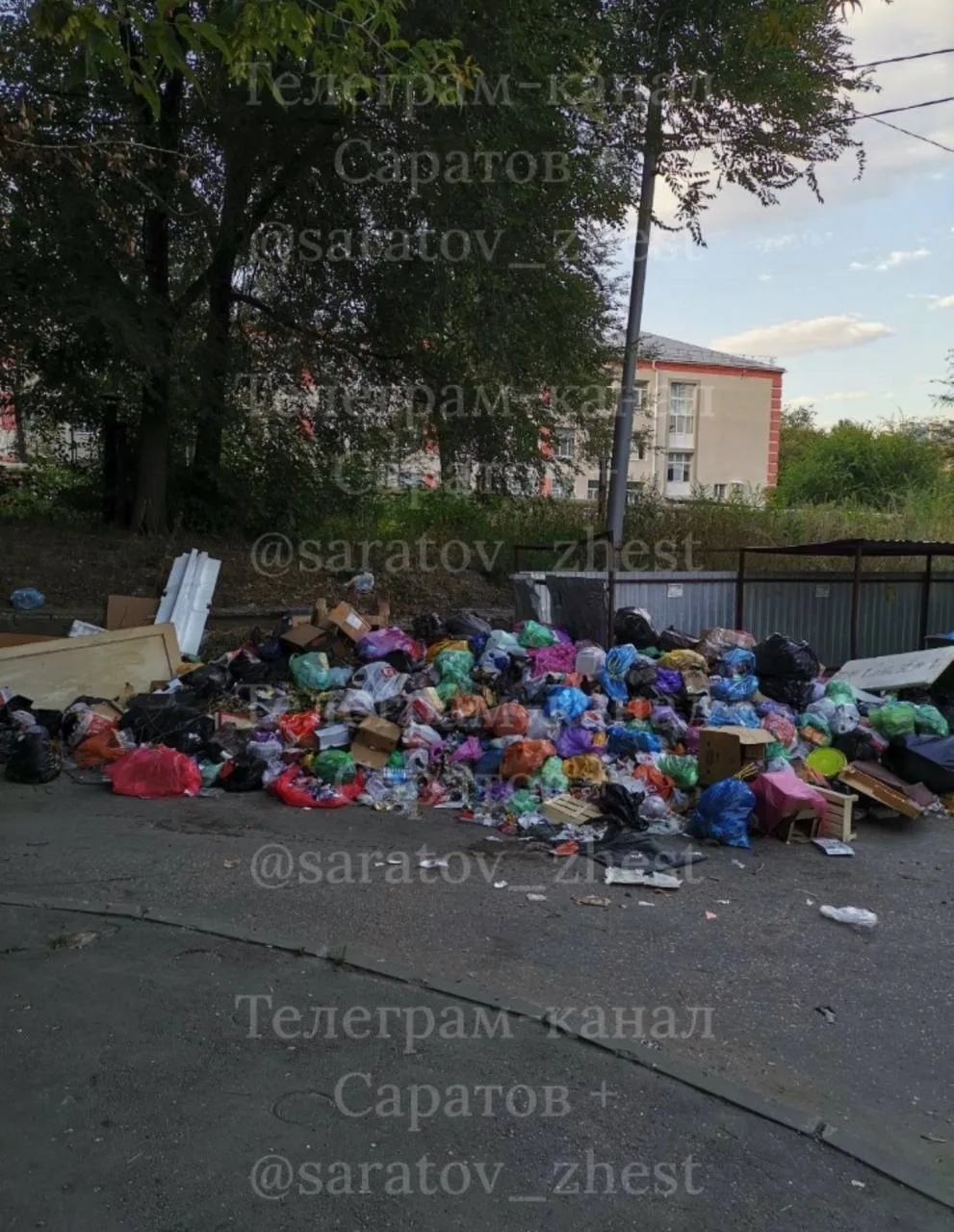 1️⃣2️⃣3️⃣4️⃣5️⃣Шехурдина/102 школа. Крысы, голуби, мухи, жара. Между зданием школы и му...