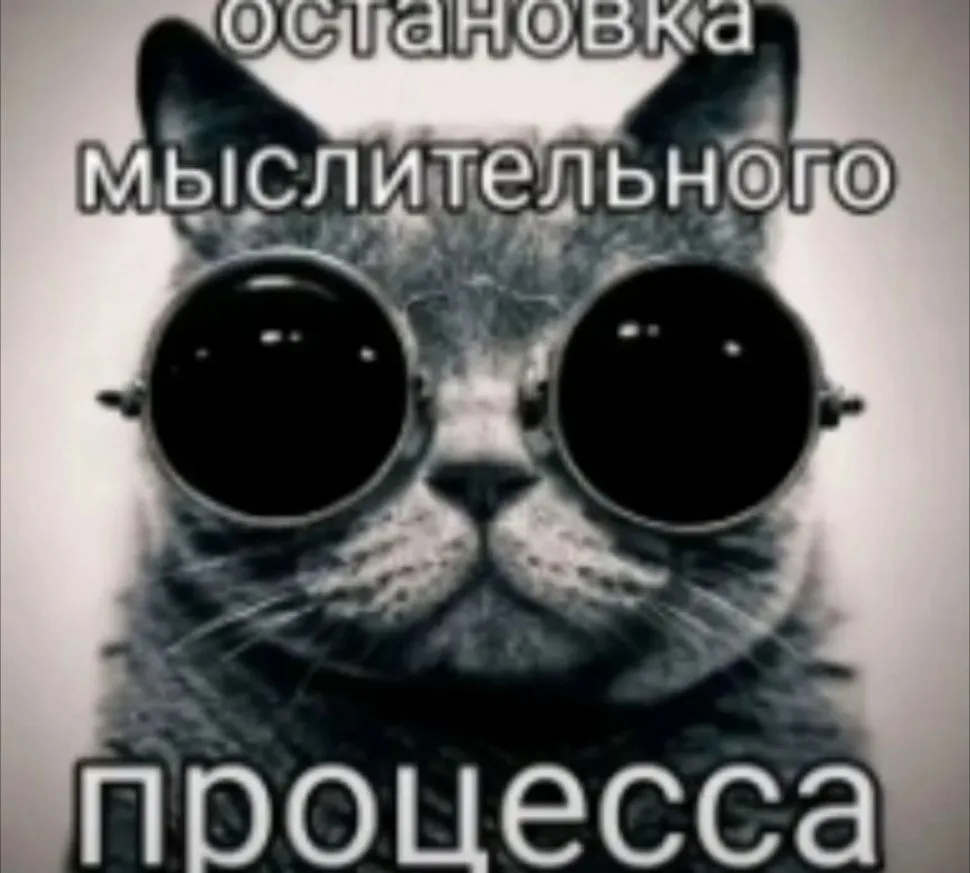 Всем стоп!